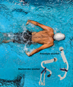 Cortex Meta Swim Bmedicala